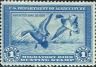One dollar's worth of Mallard duck stamp