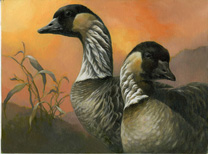 Oil Painting of a pair of Nene (Hawaiian goose)