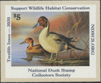 2020 NDSCS Stamp (pintails)