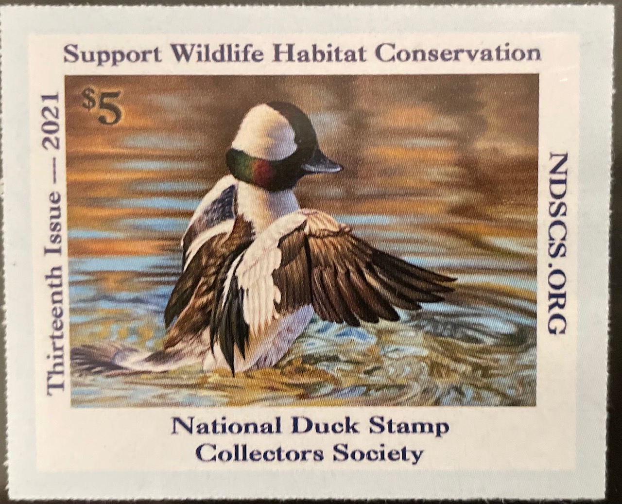 2021 NDSCS Stamp (bufflehead)