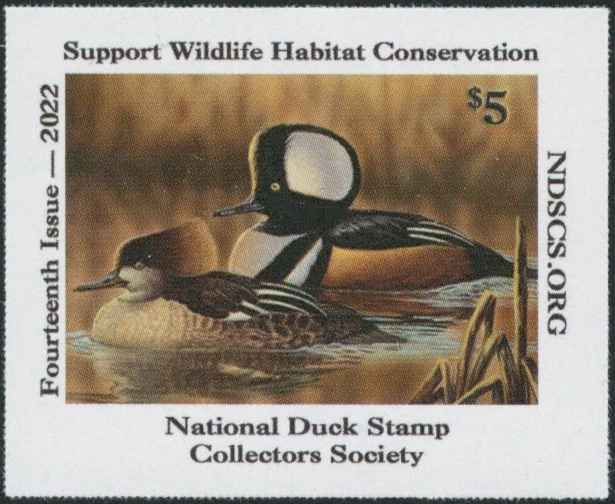 2022 NDSCS Stamp (hooded mergansers)