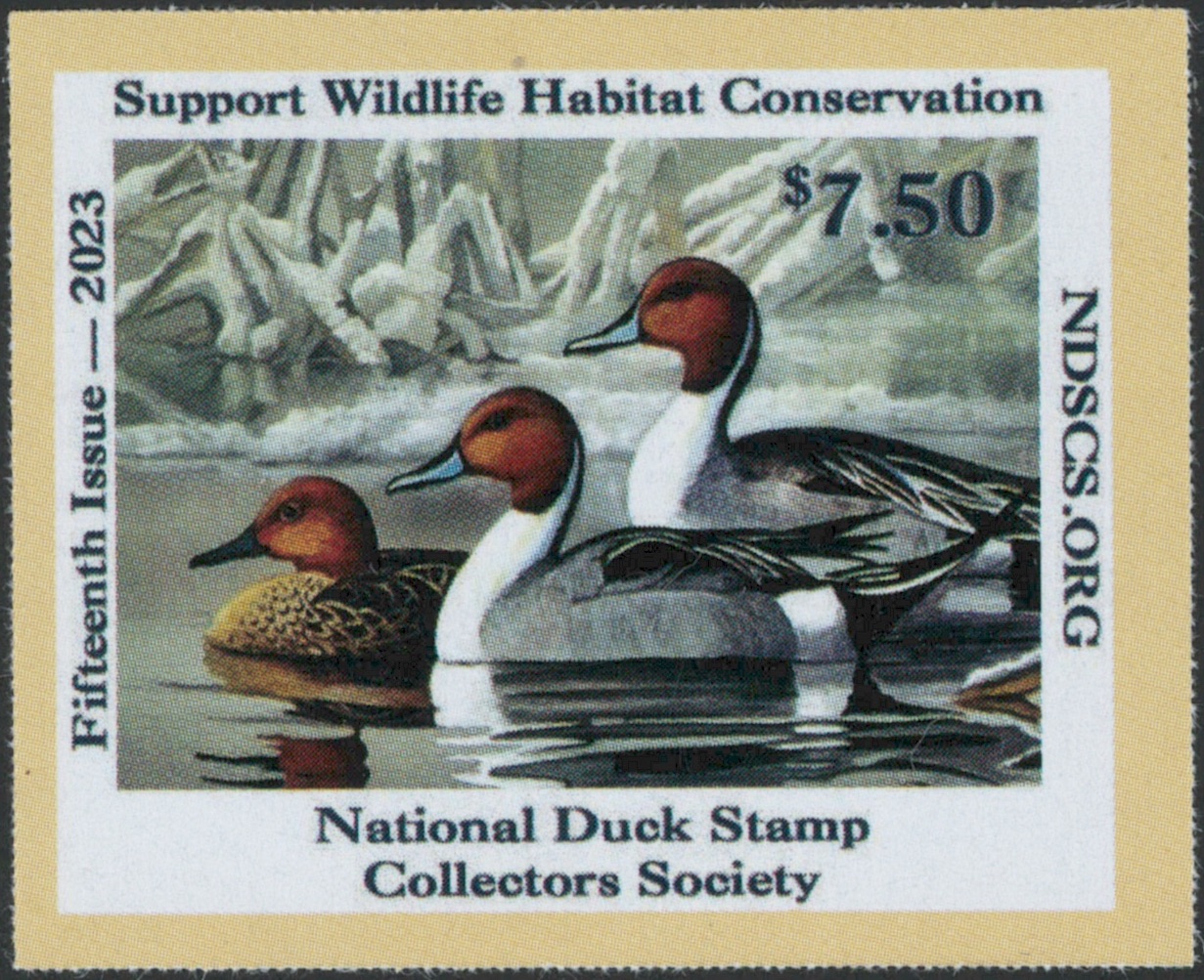 2023 NDSCS Stamp (pintails)
