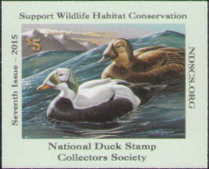 2015 NDSC Stamp (speckled eiders)