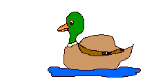 an-duck.gif (6729 bytes)