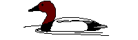 an-duck1.gif (3739 bytes)