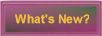 What's New on this Web Page?
